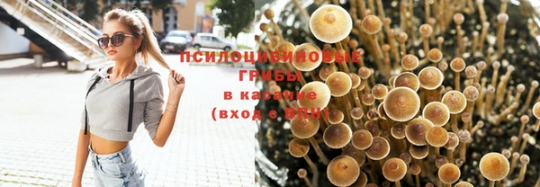 соль курить ск Зерноград