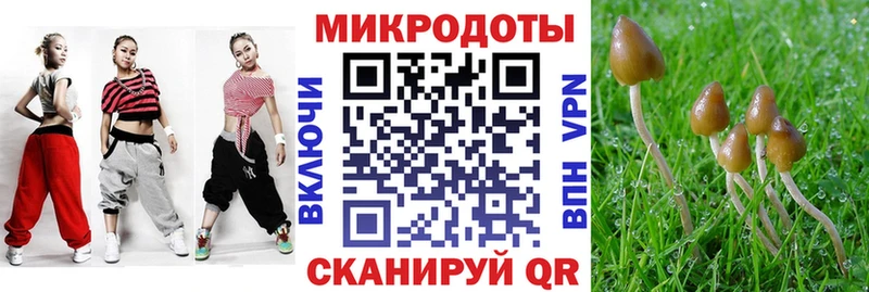 Купить где Борзя Галлюциногенные грибы Psilocybe